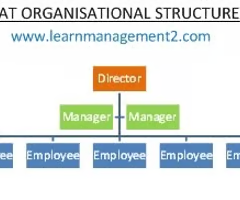 <p><span>Is usually depicted on an organizational chart as a vertical line of authority enabling decision-making or responsibility to be passed down through the layers of hierarchy.</span></p>