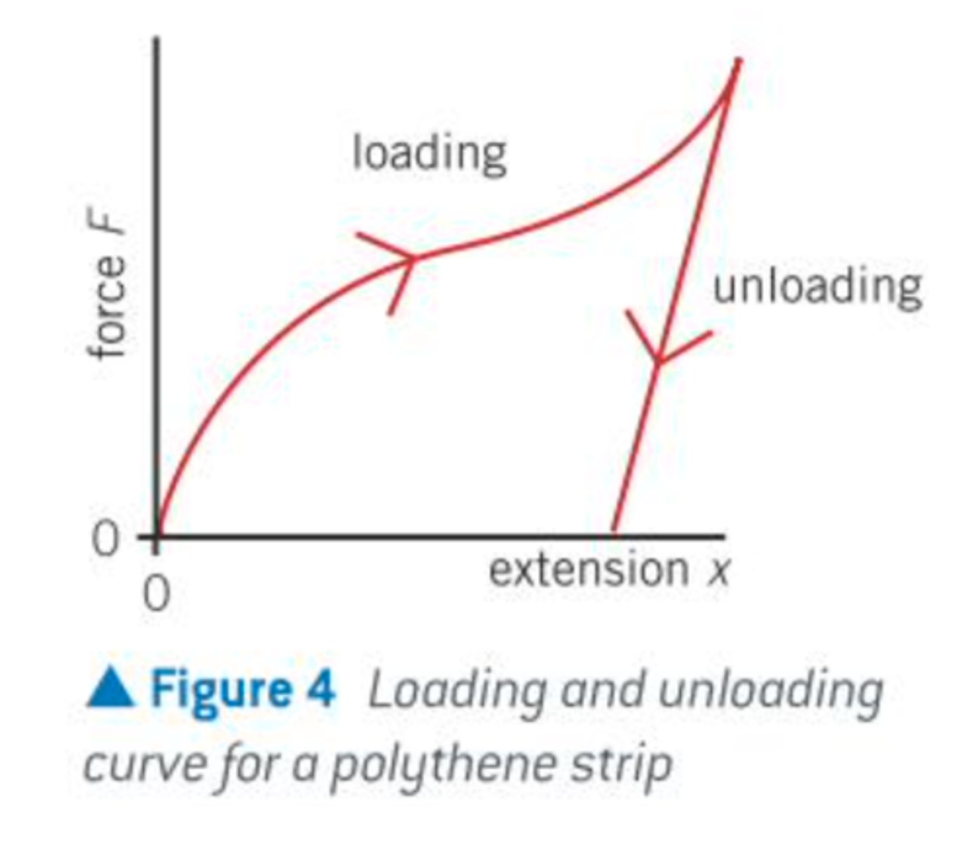 <p>- polymeric material does not obey Hooke's law</p><p>-experiences only plastic deformation when any force is applied to it</p><p>- easy to stretch into new shapes</p>