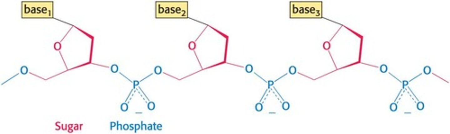 <p>Bonds formed by electron sharing between adjacent atoms, and they are the strongest type of bonds.</p>