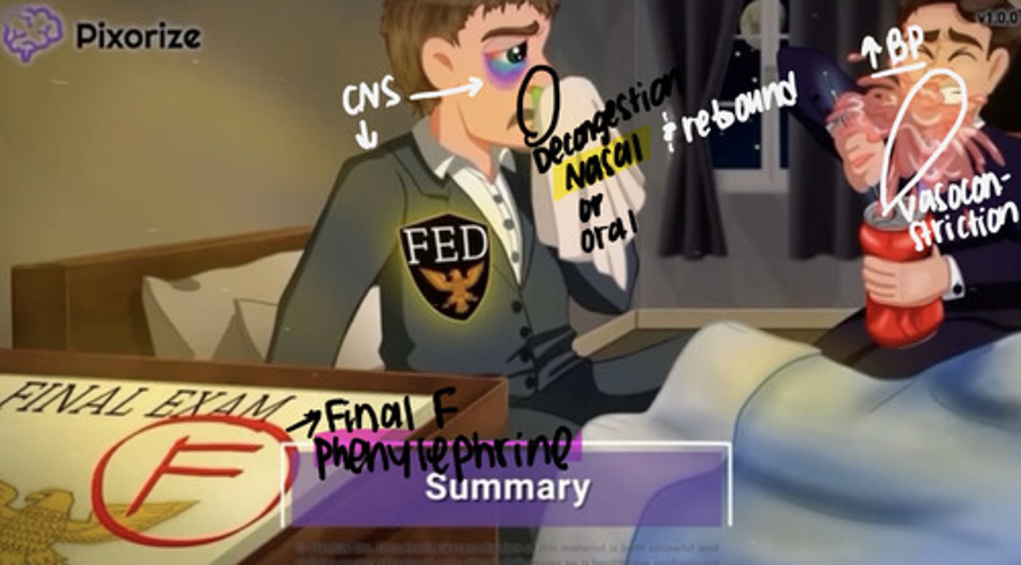 <p>MOA: vasoconstriction nasal</p><p>Indication: allergic rhinitis, sinusitis, and common cold</p><p>Adverse Effects:</p><p>Increase BP, tachycardia/ palpitation, insomnia with can cause restlessness, overdose or systemic absorb (hypertension, tachycardia, palpitation), rebound congestion with prolonged use (so basically only take for 3-5 days if you take for more days it will be hard to come off from and when you stop symptoms will return (rebound) becuz body got use to it)</p><p>Interventions:</p><p>basically if insomnia offer sleep aid, if high bp monitor bp, if high HR monitor HR, only administer when needed</p><p>Recommend glucocorticoid to minimize symptoms while discontinue this med after prolong use</p>