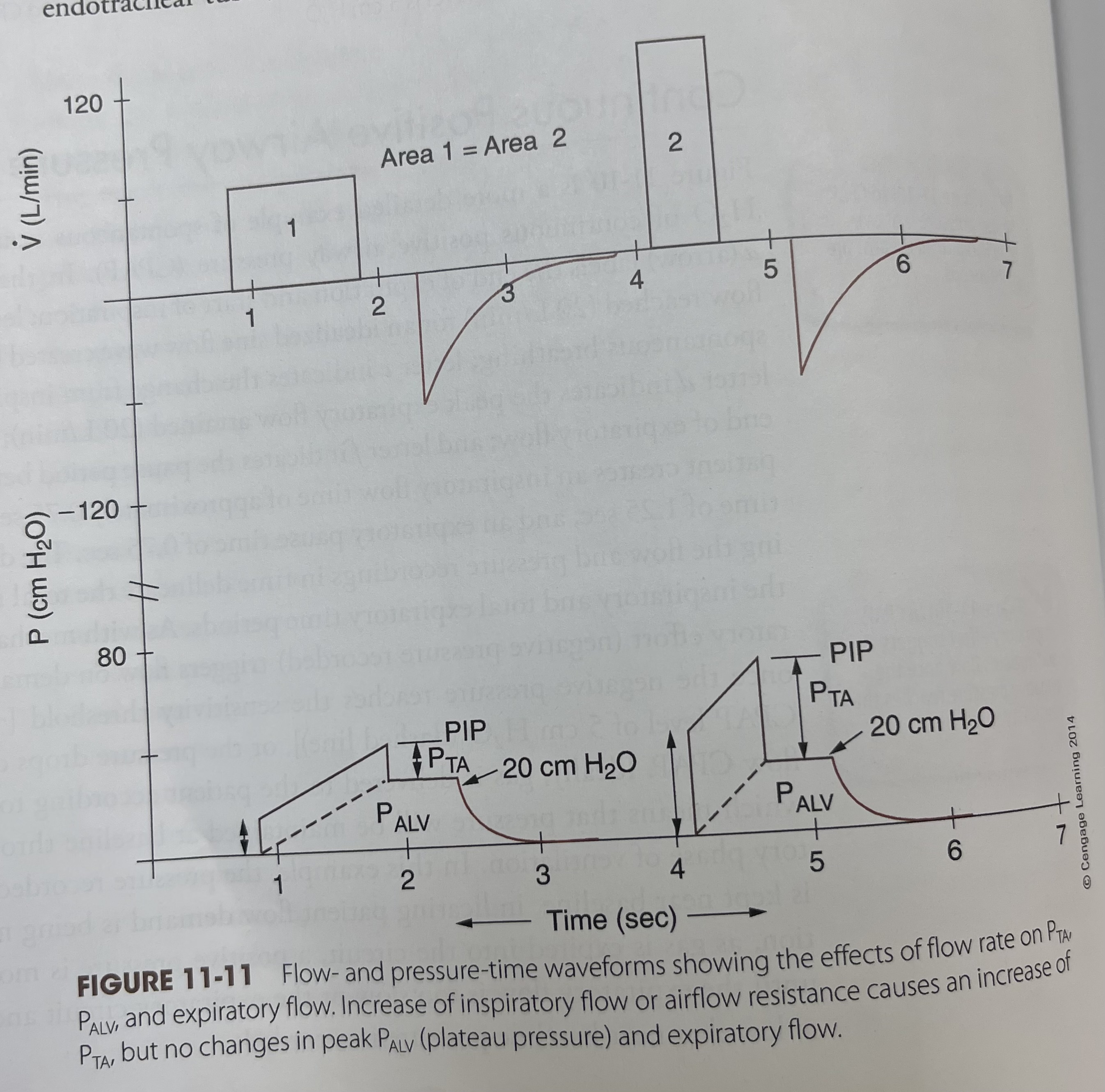 <p>What is this waveform?</p>