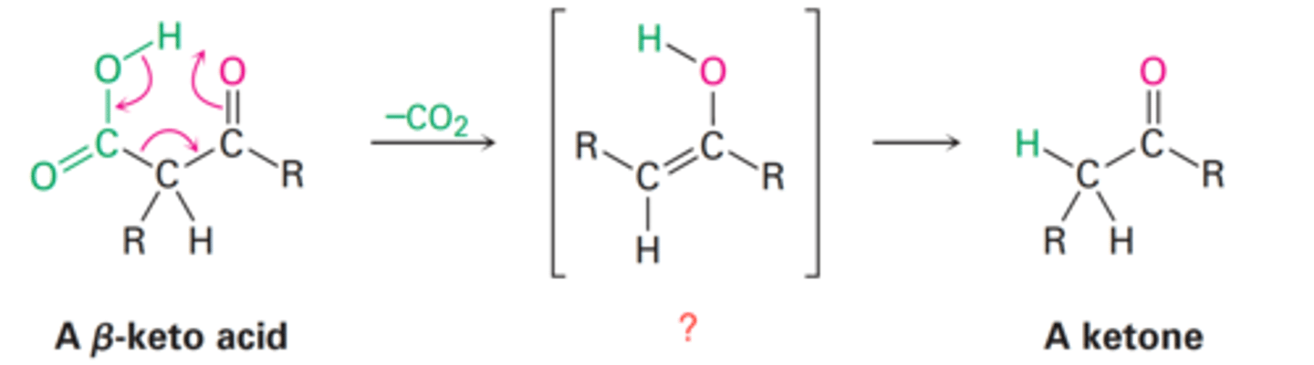 <p>What is the intermediate of an α-keto acid following decarboxylation?</p>