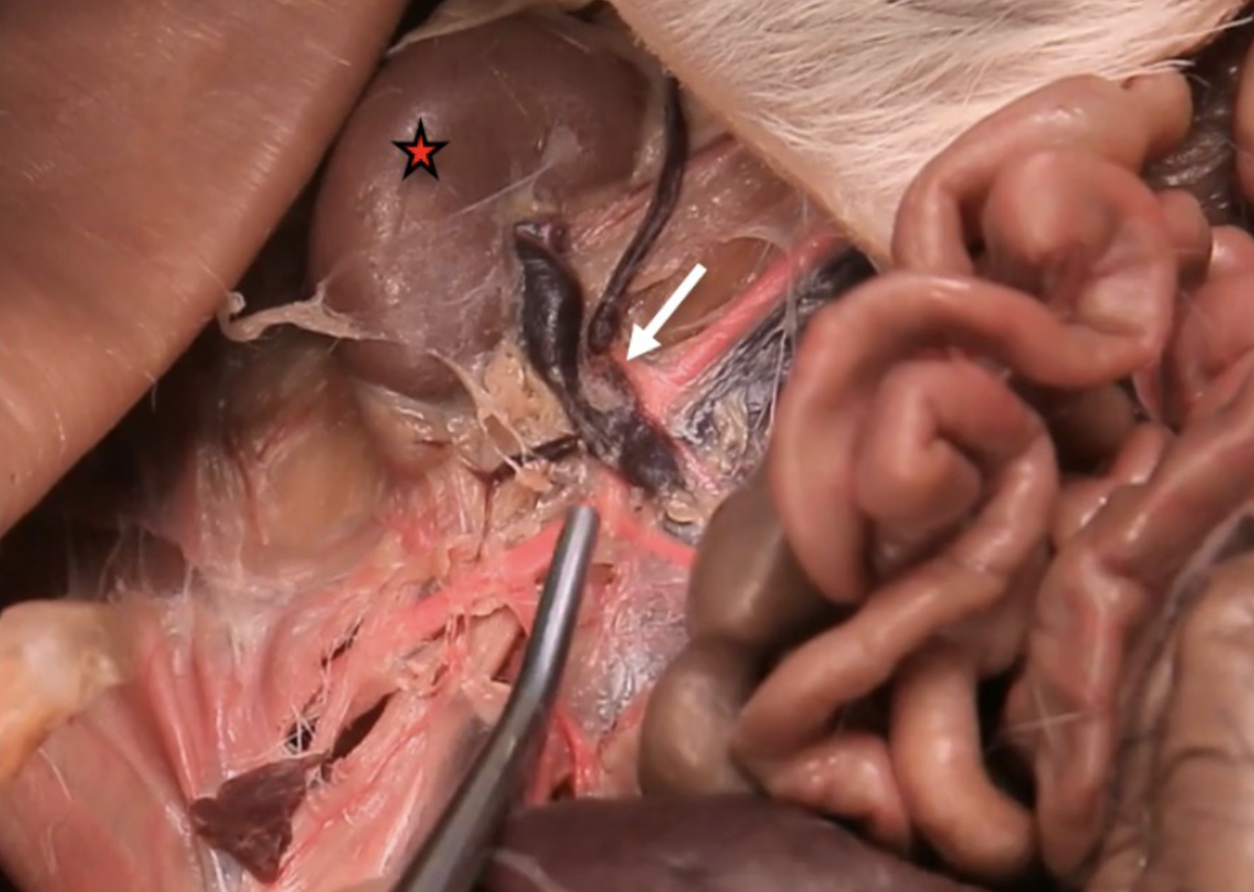 <p>What is this?</p>