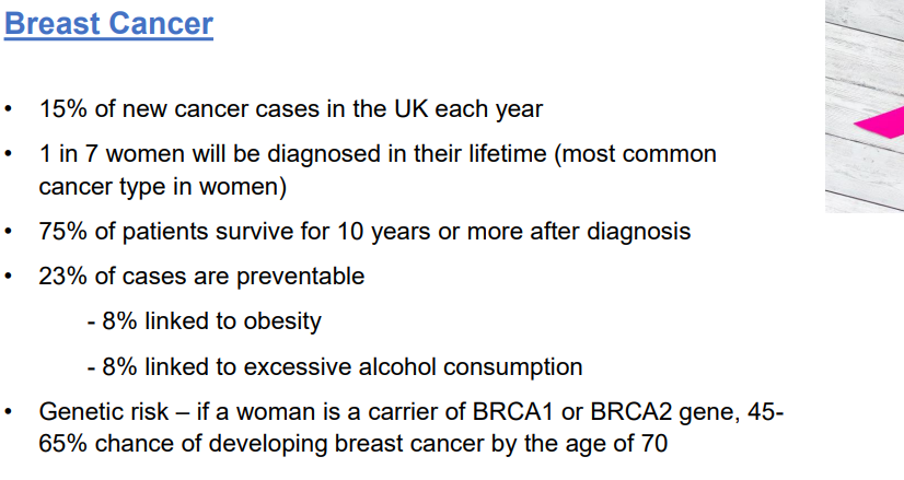 <ul><li><p>15% of cases each year in the UK</p></li><li><p>1 in 7 women </p></li><li><p>75% survive after 10 years of diagnosis</p></li><li><p>23% are preventable</p></li><li><p>8% linked to obesity </p></li><li><p>8% linked to alcohol consumption</p></li><li><p>genetic risk- BRCA1 or BRCA2 gene 45-60% risk by age 70</p></li></ul><p></p>