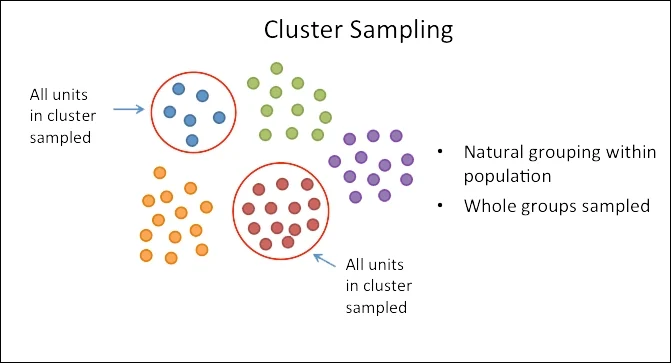 <p>Cluster Random Sample</p>