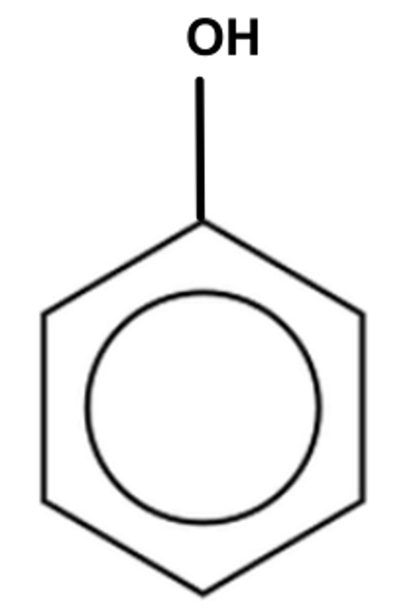 <p>An organic compound where an -OH group is attached directly to a benzene ring</p>