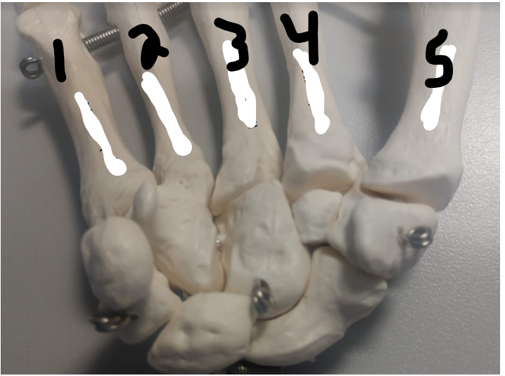 <p>What is 4?</p>