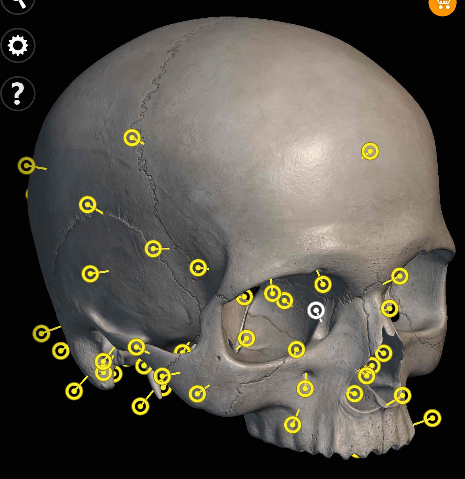 knowt flashcard image