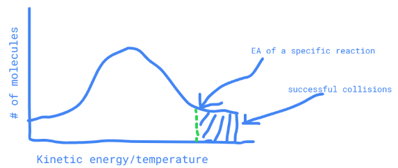 \# of molecules within a range of kinetic energy, with a set x value for the Activation Energy (particles with more activation energy can collide with enough energy)