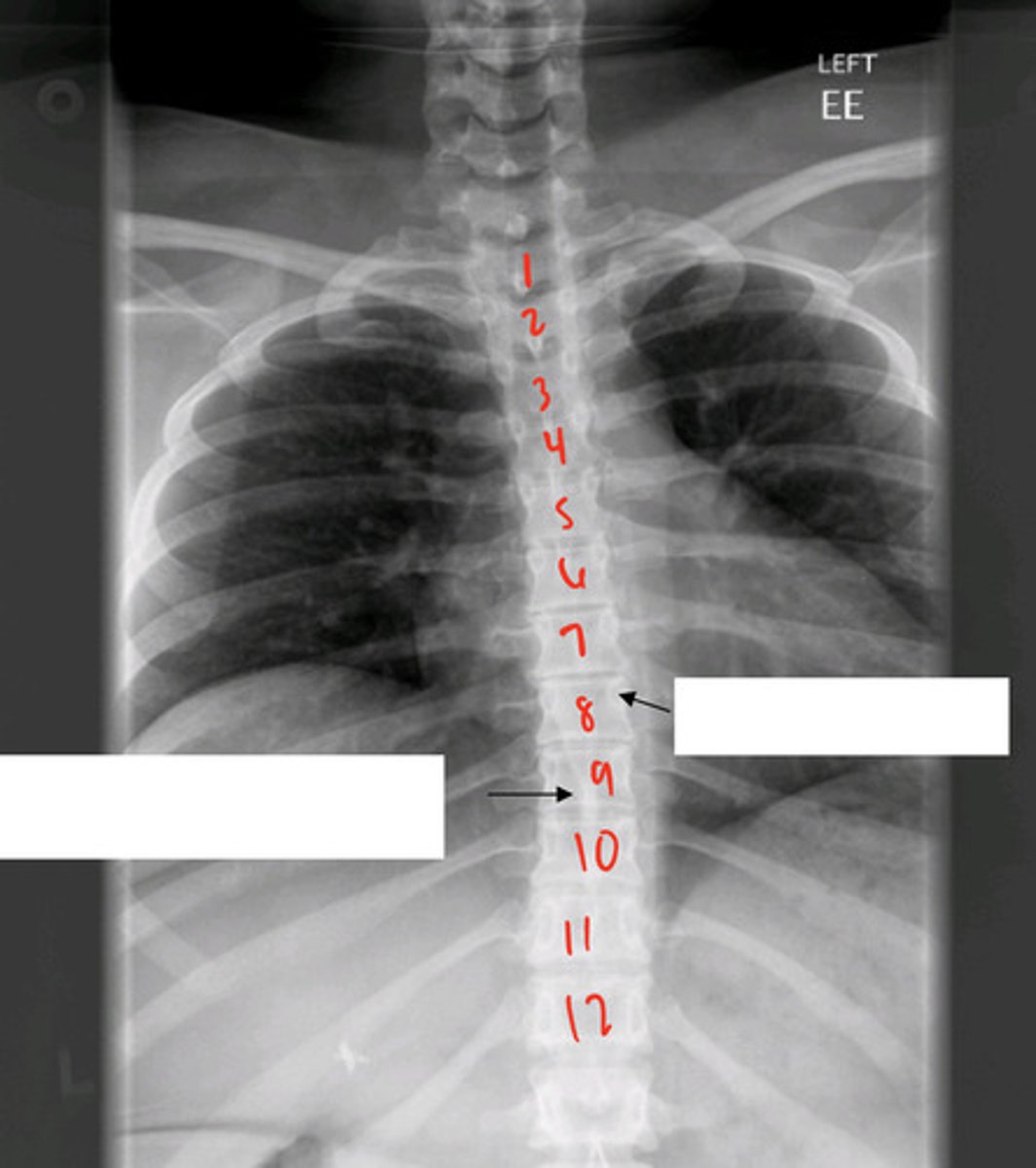 <p>what is this image?</p>