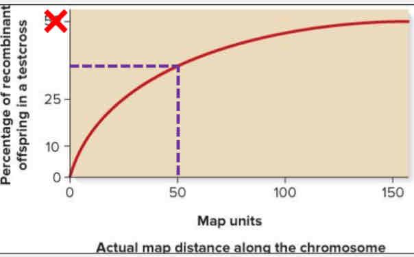 <p>1.If genes exhibit 50% recombination, the most that can be said is they belong to different linkage groups</p><p>2.Distance between genes far apart on the same chromosome tend to be underestimated because of double cross over events </p><p></p>