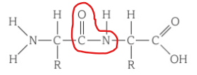 <p></p>