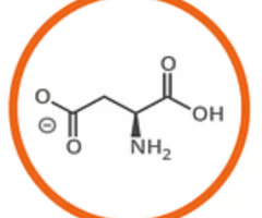<p>aspartate (asp, d)</p>
