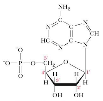 <p>Name that structure.</p>