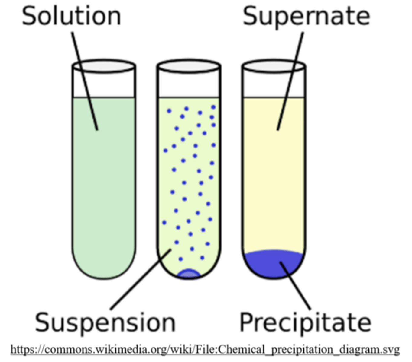 <p>cell fractionation</p>