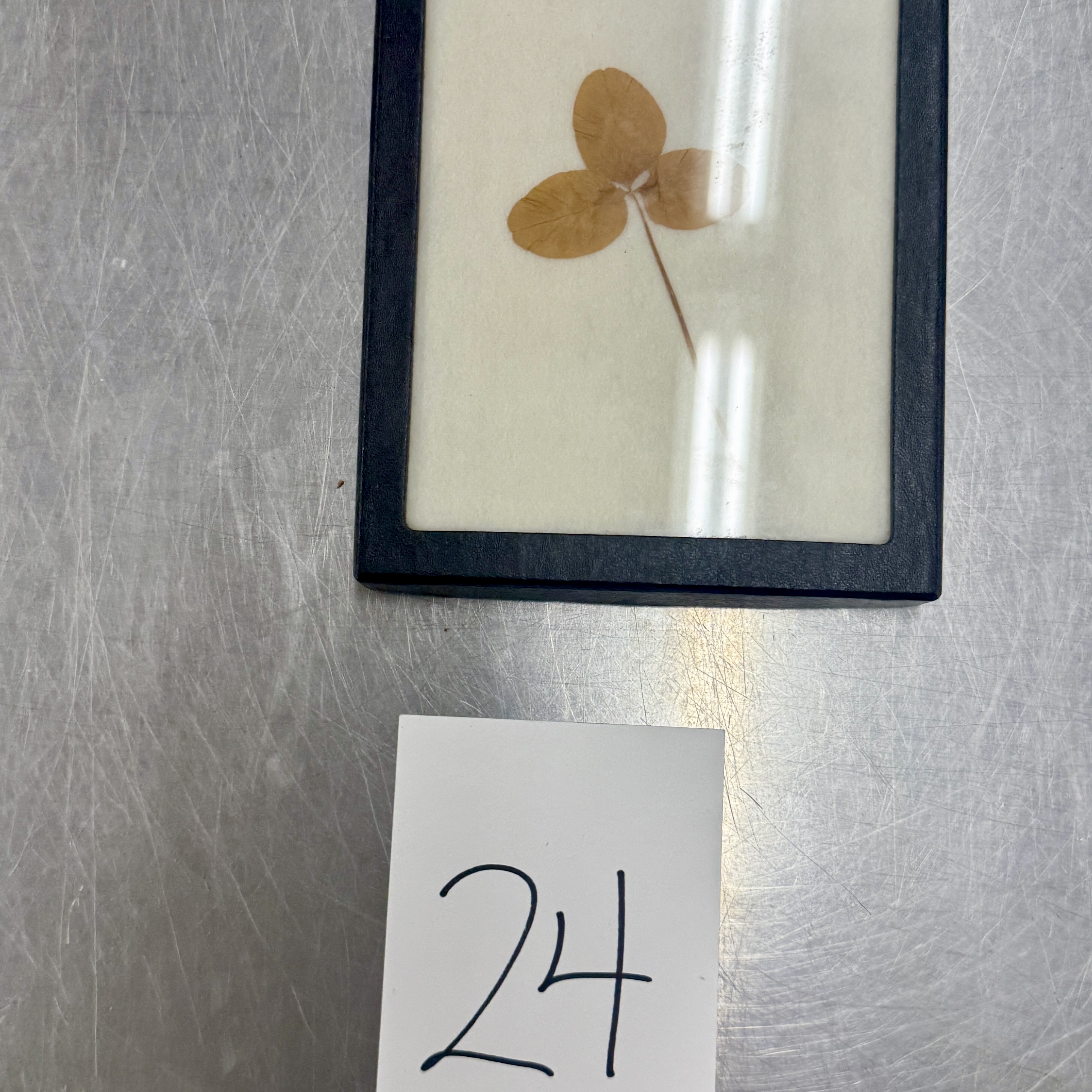 <p>Identify the shapes of the leaf specimen</p>