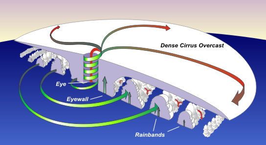 <p>The parts of a hurricane include the eye, eye wall, and rainbands, each contributing to the storm's structure and behavior. </p>