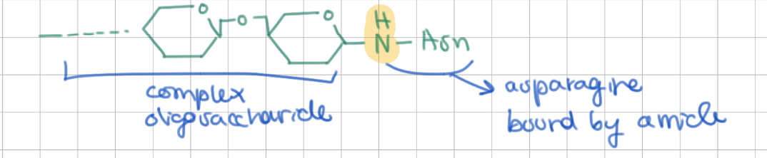 <p>asparagine</p>