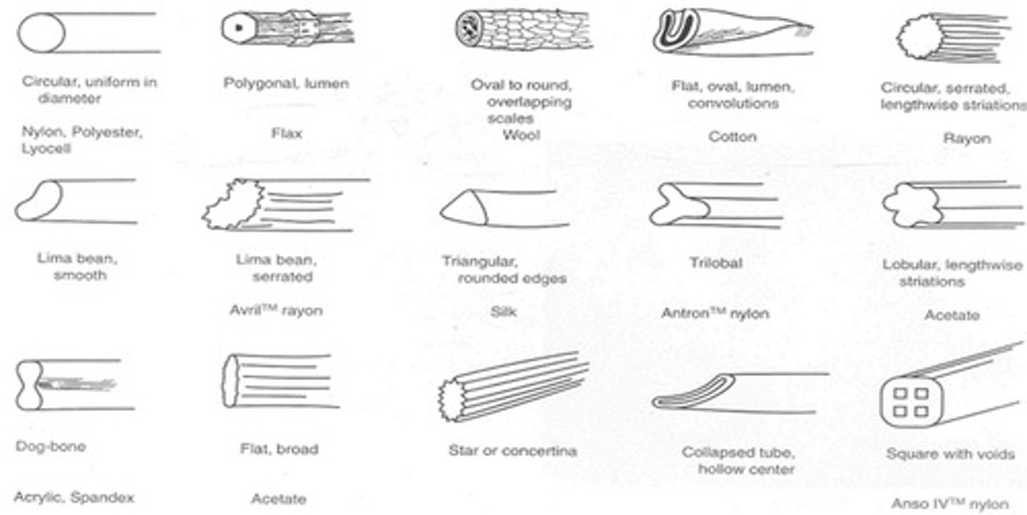 <p>Refractive Index, Anisotropic vs. Isotropic properties, interference colors, and Birefringence (RI difference)</p>