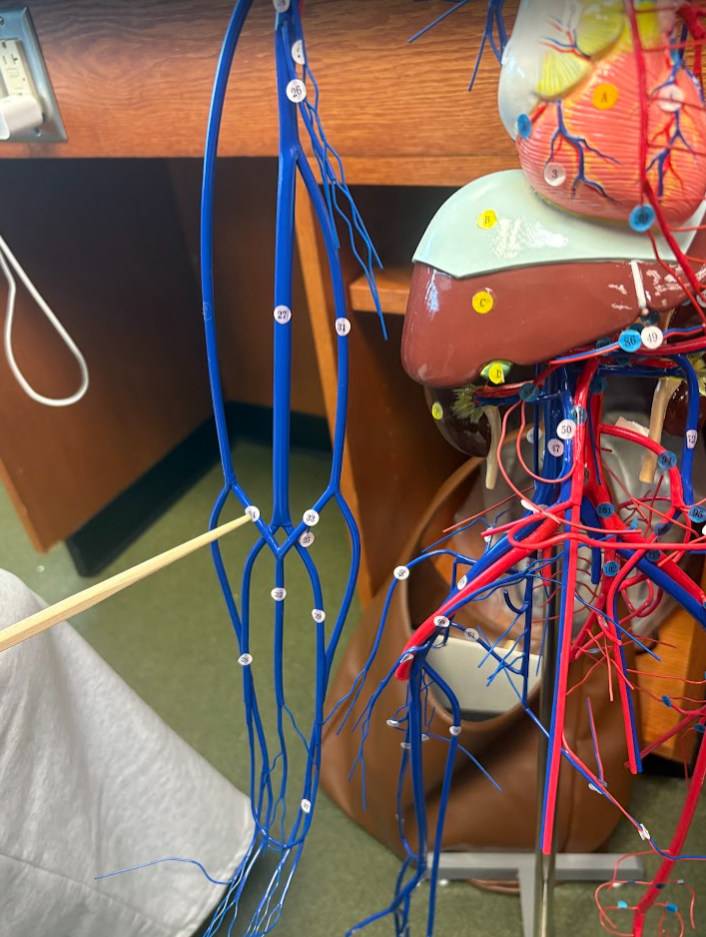 <p>What is this?</p>