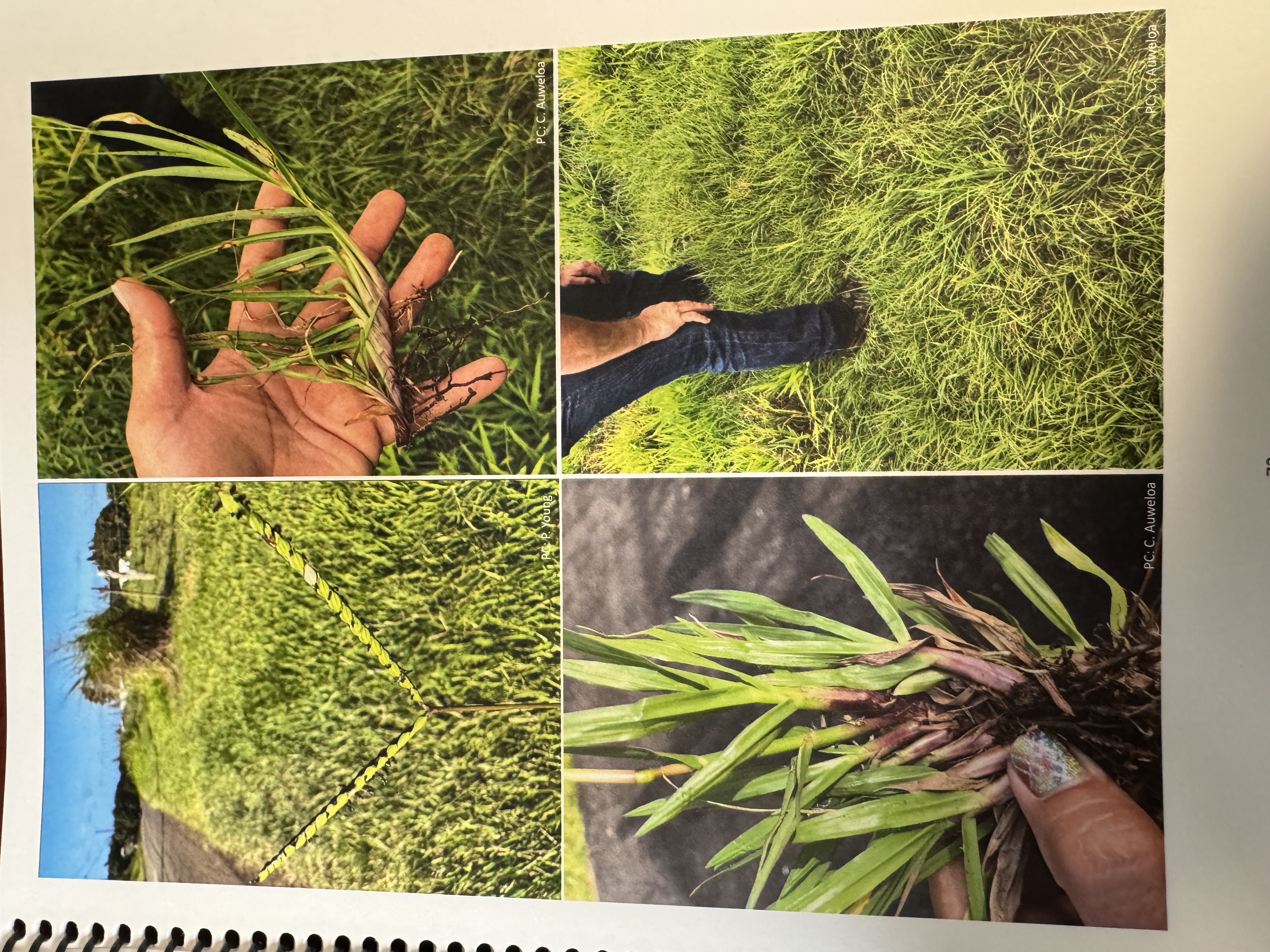 <img src="blob:null/b0e661b6-ad5b-489d-94f3-5041a4000603"><p></p>