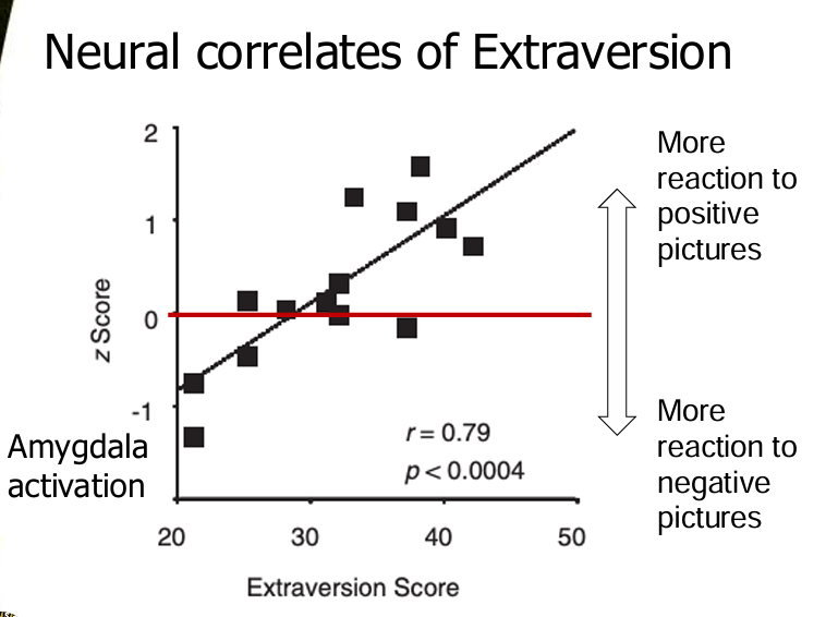 <p>More extraverted —&gt; more sensitive to positive photos</p><p>More introverted —&gt; more sensitive to negative photos</p>