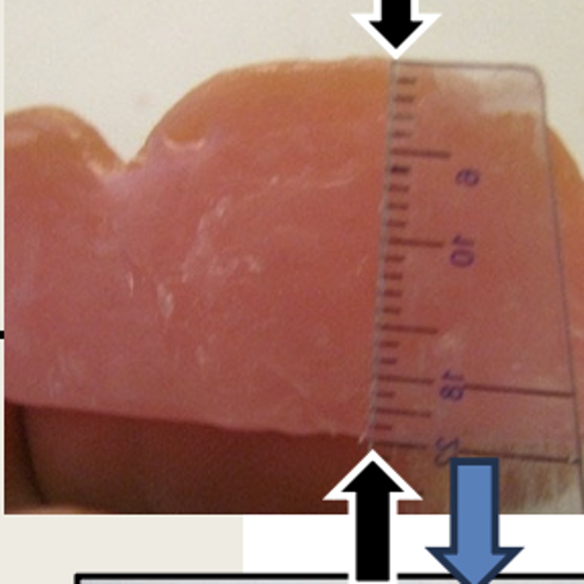 <p>For the fabrication of the maxillary wax rim, it should have a smooth and flat facial surface which is _____ mm high at the lateral incisors (black arrows)</p>