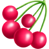 <p>Cherry</p>