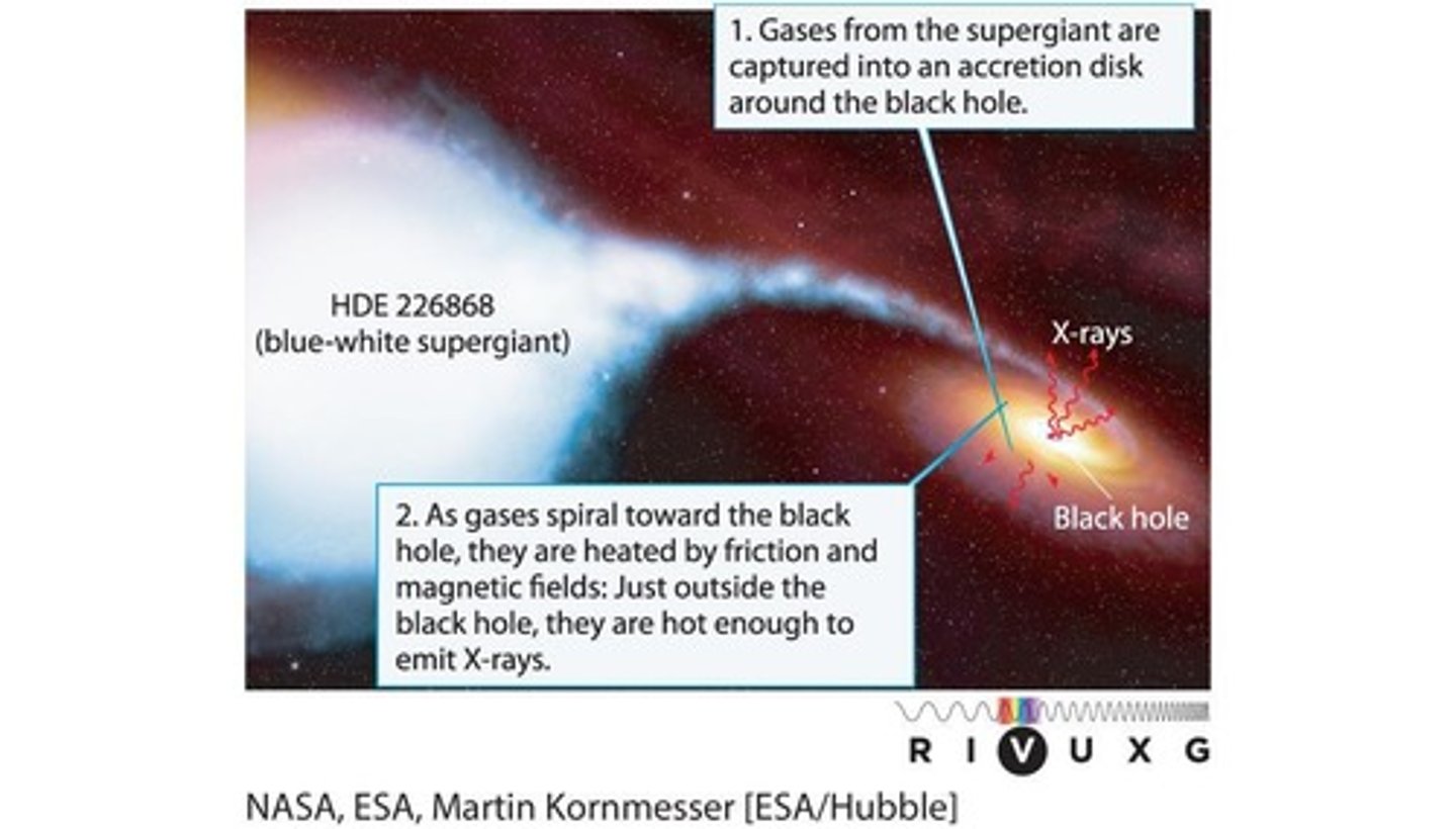 <p>A black hole with a mass of about 15 Mʘ and a companion star with a mass of 30 Mʘ.</p>