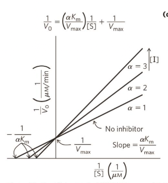 <p>Competitive inhibition plot</p>