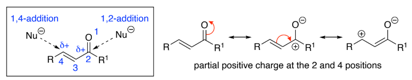 <p>___-Unsaturated carbonyl compounds are RASM’s that are prepared via aldol condensation reactions of aldehydes, ketones &amp; esters</p><p>Conjugation of the C=O bond with the C=C bond means that α,<span>β</span>-unsaturated carbonyls are susceptible to attack by ___________ at both the 2- &amp; 4-positions</p><p>1,4-addition, is called Michael addition</p><p>Addition of carbon nucleophiles results in _____ bond formation</p>