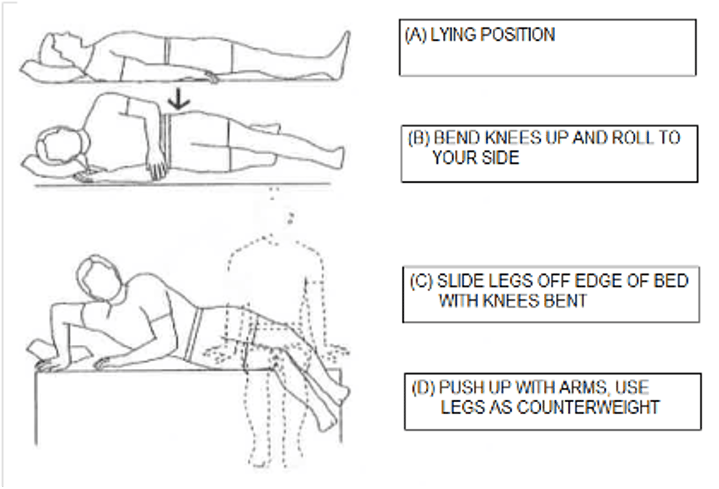 <p>-B: No bending over @ back<br>-L: No heavy lifting (&gt; 5 lbs)<br>-T: No twisting</p>