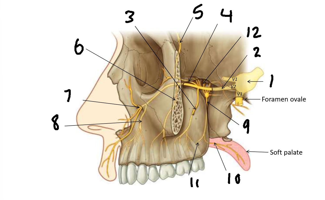 <p>What is 12?</p>