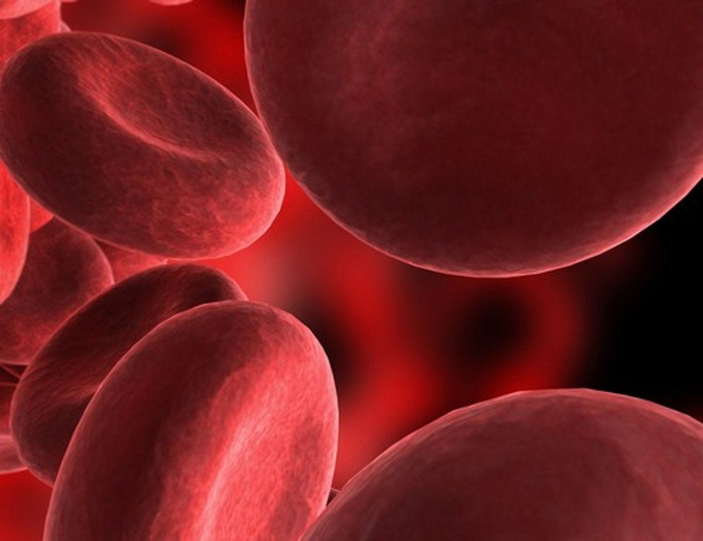 <p>blood</p>