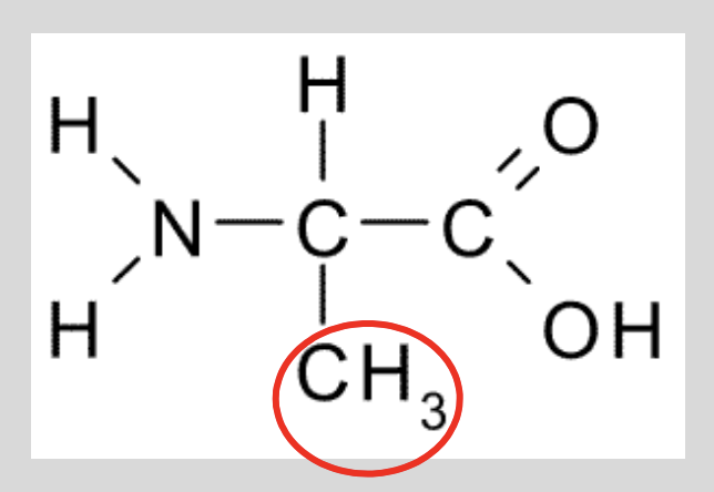 <p>Methyl is non-polar, so alanine will be found somewhere without water b/c it’s hydrophobic!</p>