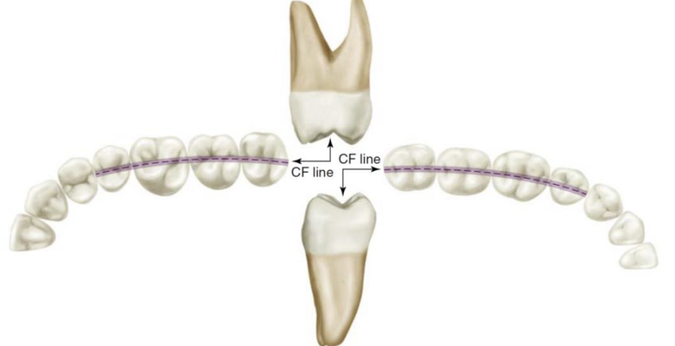 <p>what line is this, which arch</p>