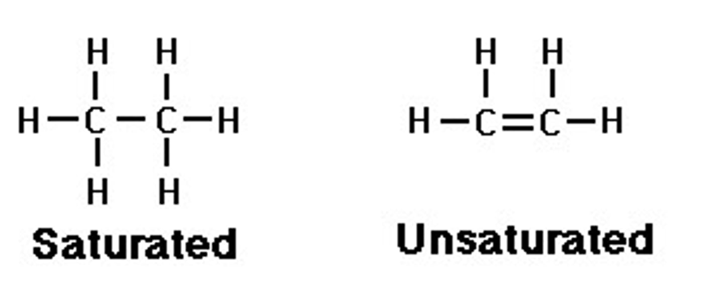 <p>Organic compounds which only contain single bonds</p>