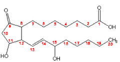 modified 20 carbon fatty acids