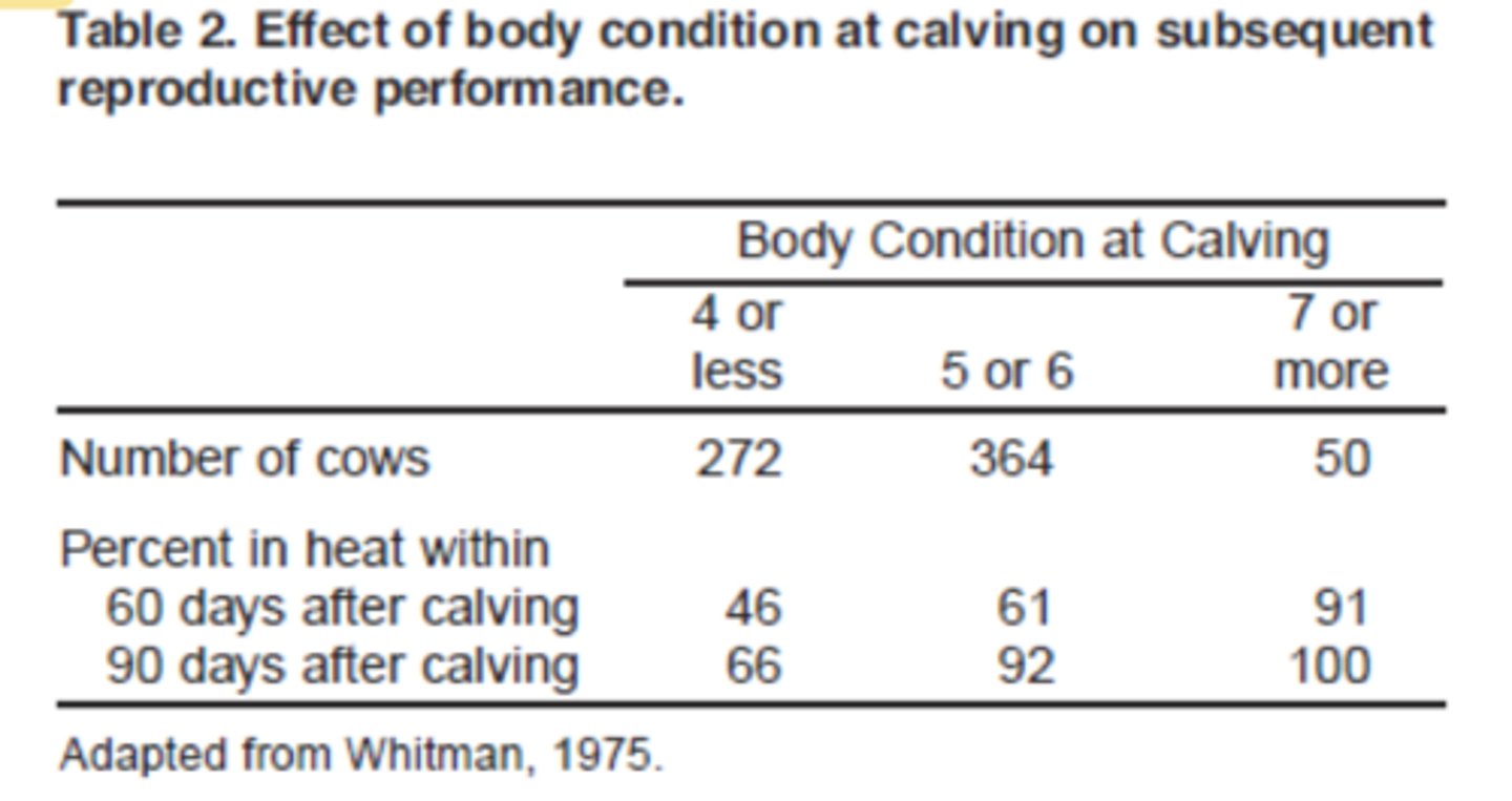 <p>what is the ideal method to house cows after calving and why</p>