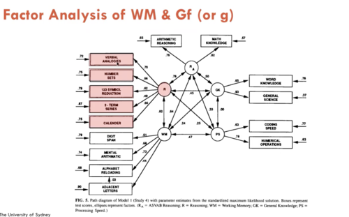 grouping mental processes 

latent variables

- R
- GK
- WM
- PS
testing relationships between ^

Collected data on these different tasks



Correlations:
- Reasoning & WM r = 0.82
- Reasoning and General Knowledge r = 0.45
- WM and GenKnow r = 0.24
- Reasoning and ProcSpeed r = 0.25
- WM & ProcSpeed r = 0.47

Evidence for differentiation of the WM and Reasoning factors