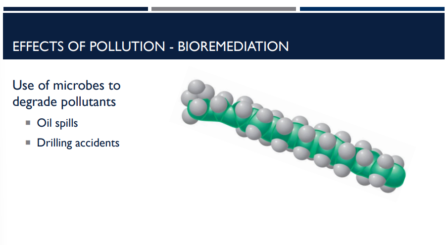 <p>There are many effects of pollution, which lead us to utilize bioremediation. Describe bioremediation.</p>