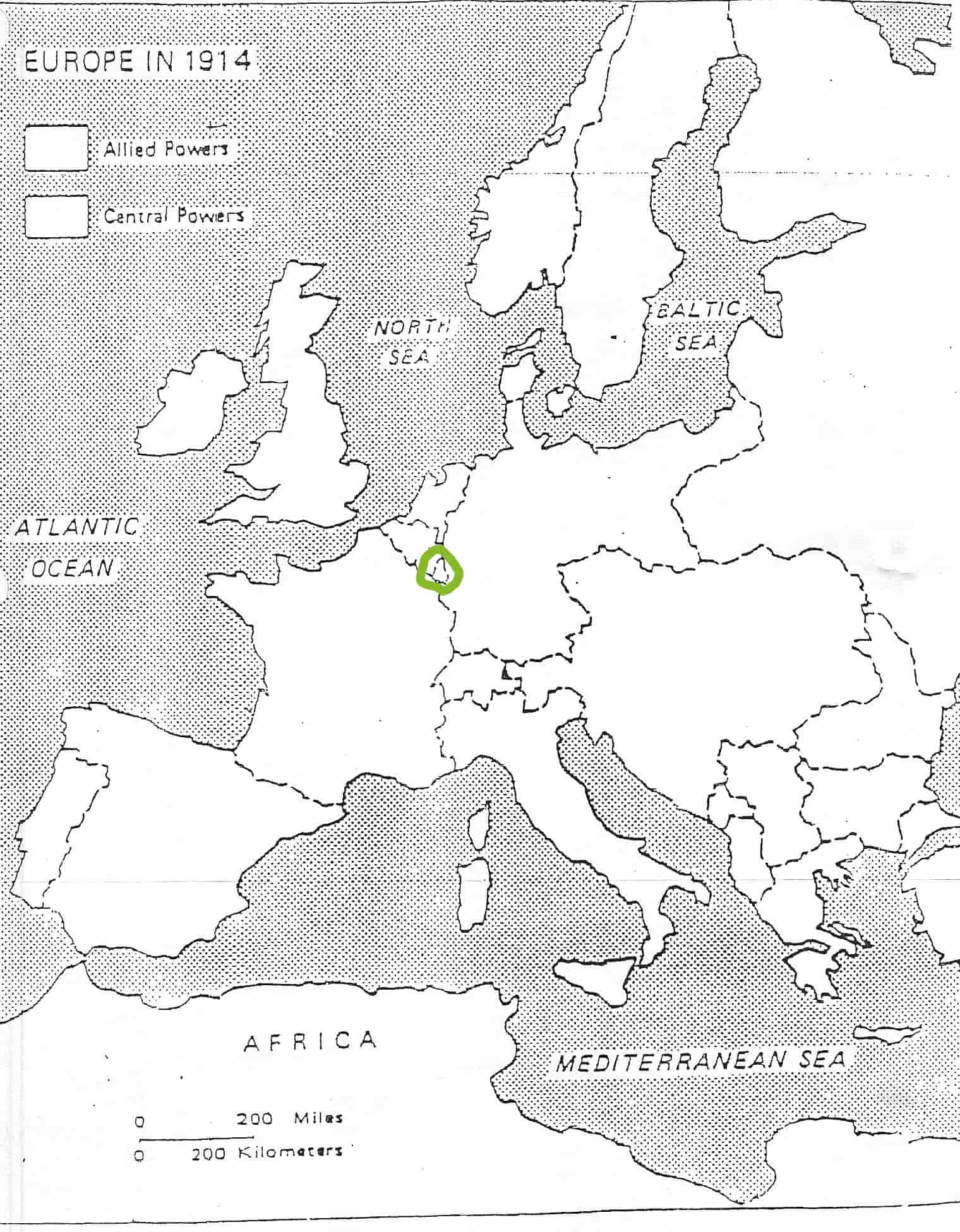 term image