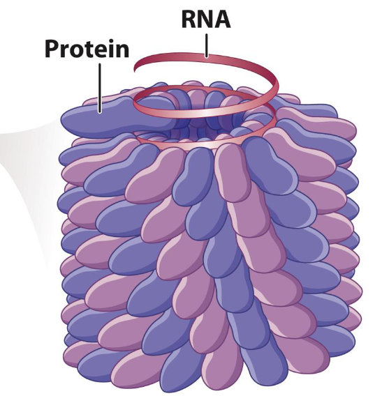 <p>What is this?</p>
