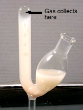 <p>fermentation tube</p>