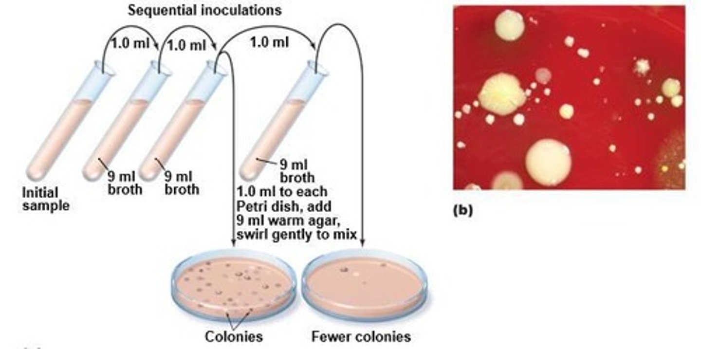 <p>To use a series of dilutions to lower cell concentrations before plating.</p>