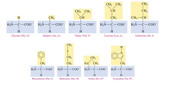 <ul><li><p>contain alkyl groups, aromatic, benzene, many carbon atoms</p></li></ul>