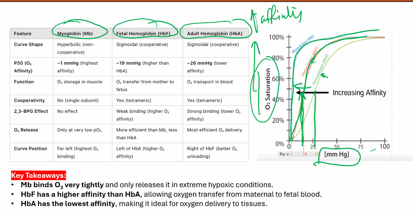 <p>if the curve shifts to the LEFT (affinity increases) as partial pressure DECREASES.&nbsp;</p>