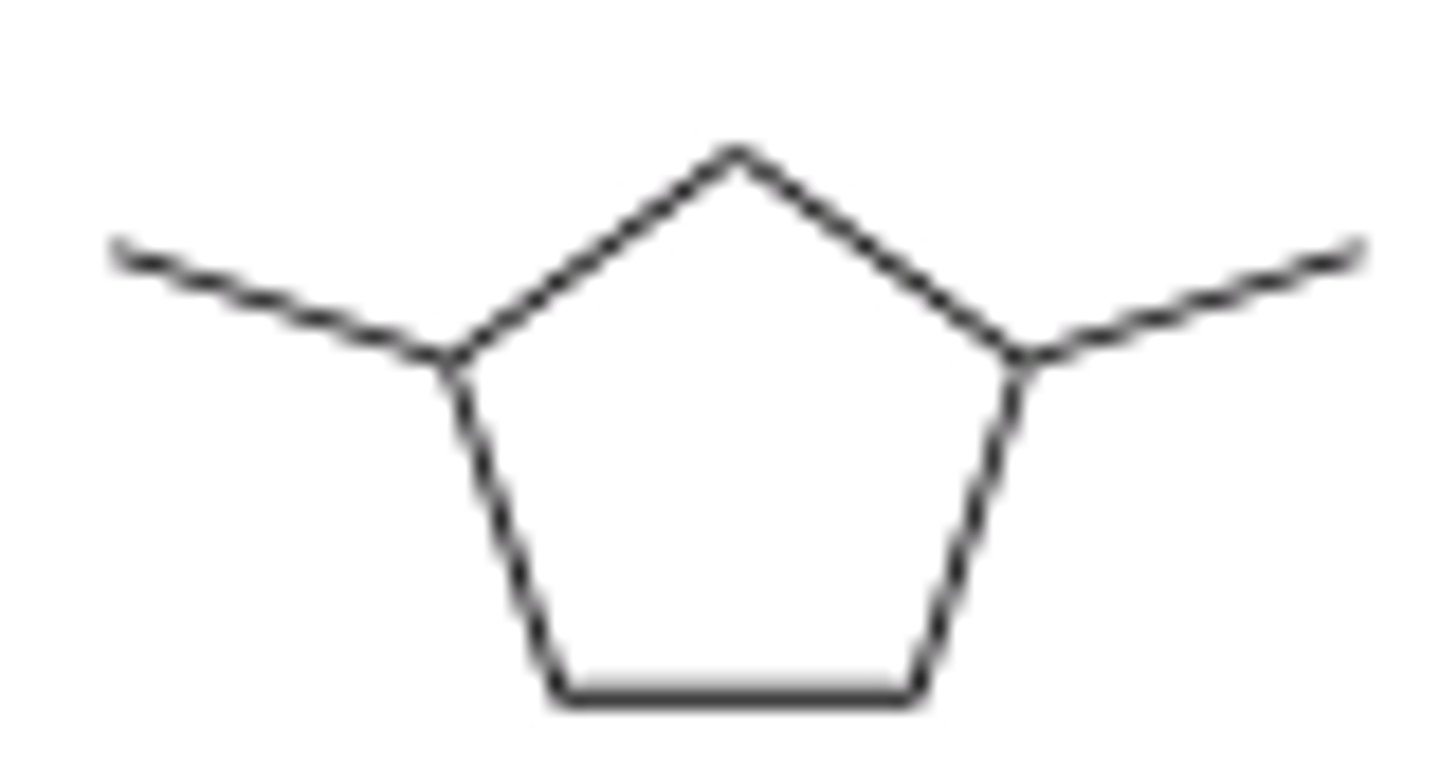<p>C</p>