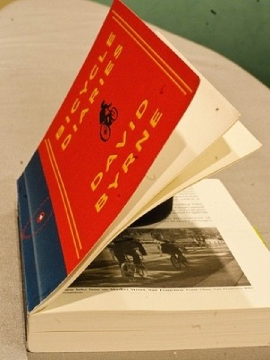 <p>pokkari, pehmeäkantinen kirja</p>