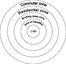 <p>A city structured around a single central business district (CBD) where most commercial activities occur. Industrial areas are typically on the outskirts, and residential zones radiate outward based on income levels. </p><p></p>